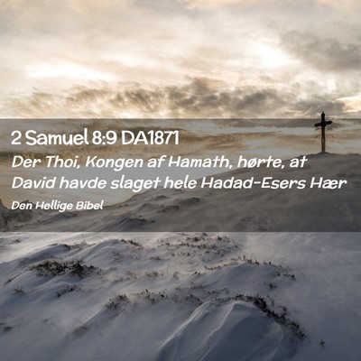 Picture 02 - 2 Samuel 8:9 DA1871 - Der Thoi, Kongen af Hamath, hørte, at David - Bible Verse Picture