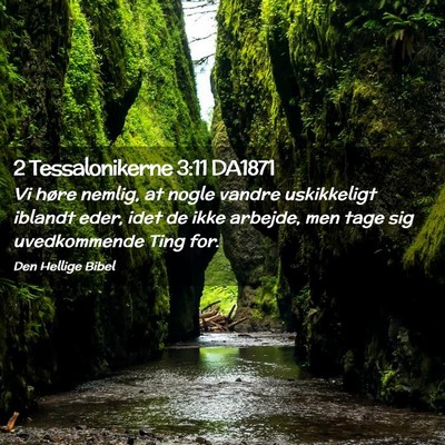 Picture 02 - 2 Tessalonikerne 3:11 DA1871 - Vi høre nemlig, at nogle vandre uskikkeligt - Bible Verse Picture