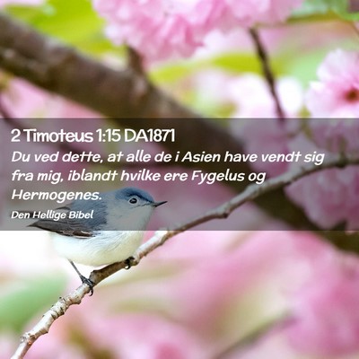 Picture 02 - 2 Timoteus 1:15 DA1871 - Du ved dette, at alle de i Asien have vendt sig - Bible Verse Picture
