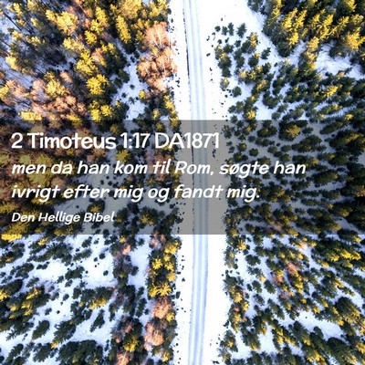 Picture 02 - 2 Timoteus 1:17 DA1871 - men da han kom til Rom, søgte han ivrigt efter - Bible Verse Picture