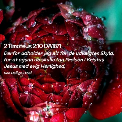 Picture 02 - 2 Timoteus 2:10 DA1871 - Derfor udholder jeg alt for de udvalgtes Skyld, - Bible Verse Picture