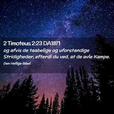 Picture 02 - 2 Timoteus 2:23 DA1871 - og afvis de taabelige og uforstandige - Bible Verse Picture