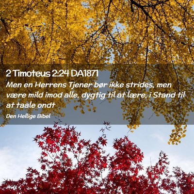 Picture 02 - 2 Timoteus 2:24 DA1871 - Men en Herrens Tjener bør ikke strides, men - Bible Verse Picture