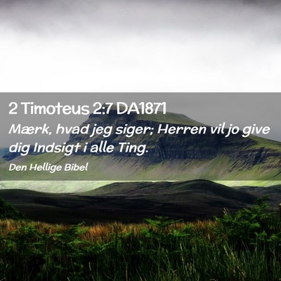Picture 02 - 2 Timoteus 2:7 DA1871 - Mærk, hvad jeg siger; Herren vil jo give dig - Bible Verse Picture