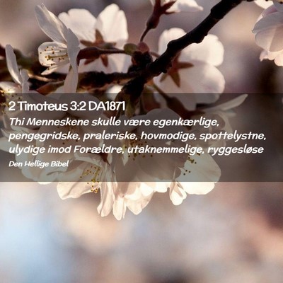 Picture 02 - 2 Timoteus 3:2 DA1871 - Thi Menneskene skulle være egenkærlige, - Bible Verse Picture