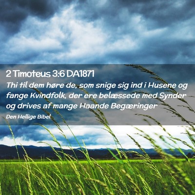 Picture 02 - 2 Timoteus 3:6 DA1871 - Thi til dem høre de, som snige sig ind i Husene - Bible Verse Picture