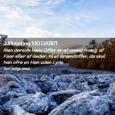 Picture 02 - 3 Mosebog 1:10 DA1871 - Men dersom hans Offer er af smaat Kvæg, af Faar - Bible Verse Picture