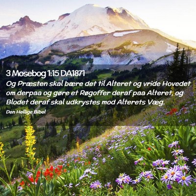 Picture 02 - 3 Mosebog 1:15 DA1871 - Og Præsten skal bære det til Alteret og vride - Bible Verse Picture