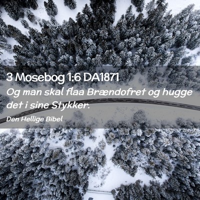 Picture 02 - 3 Mosebog 1:6 DA1871 - Og man skal flaa Brændofret og hugge det i sine - Bible Verse Picture