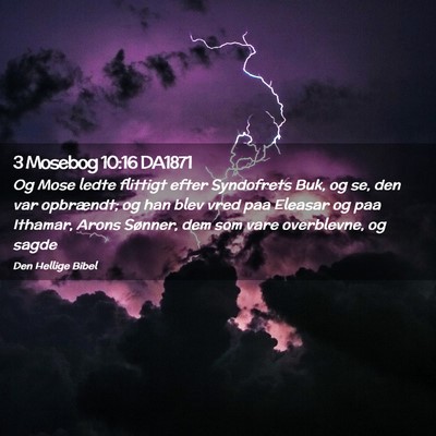 Picture 02 - 3 Mosebog 10:16 DA1871 - Og Mose ledte flittigt efter Syndofrets Buk, og - Bible Verse Picture
