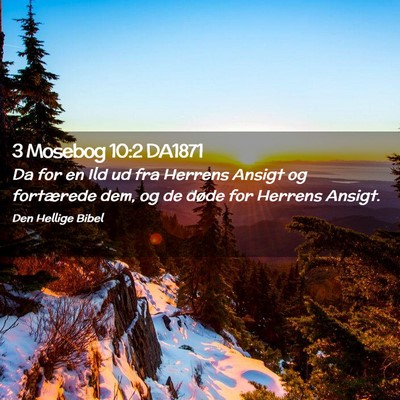 Picture 02 - 3 Mosebog 10:2 DA1871 - Da for en Ild ud fra Herrens Ansigt og fortærede - Bible Verse Picture