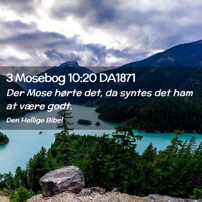 Picture 02 - 3 Mosebog 10:20 DA1871 - Der Mose hørte det, da syntes det ham at være - Bible Verse Picture