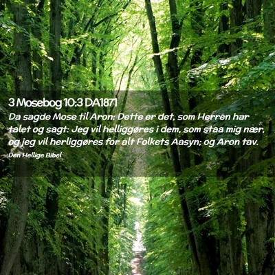 Picture 02 - 3 Mosebog 10:3 DA1871 - Da sagde Mose til Aron: Dette er det, som Herren - Bible Verse Picture