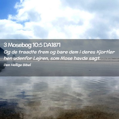 Picture 02 - 3 Mosebog 10:5 DA1871 - Og de traadte frem og bare dem i deres Kjortler - Bible Verse Picture