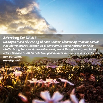 Picture 02 - 3 Mosebog 10:6 DA1871 - Da sagde Mose til Aron og til hans Sønner, - Bible Verse Picture