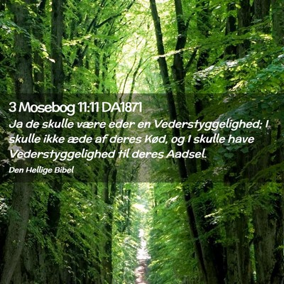 Picture 02 - 3 Mosebog 11:11 DA1871 - Ja de skulle være eder en Vederstyggelighed; I - Bible Verse Picture