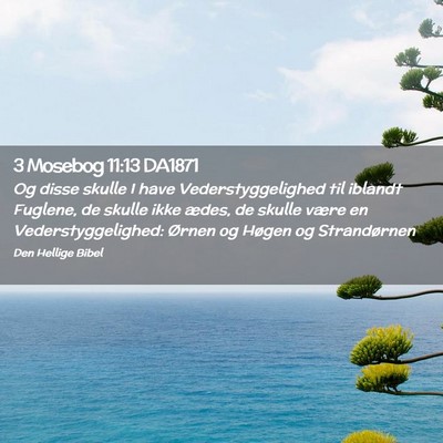 Picture 02 - 3 Mosebog 11:13 DA1871 - Og disse skulle I have Vederstyggelighed til - Bible Verse Picture