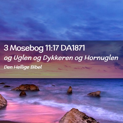 Picture 02 - 3 Mosebog 11:17 DA1871 - og Uglen og Dykkeren og - Bible Verse Picture