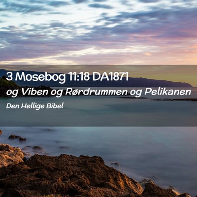 Picture 02 - 3 Mosebog 11:18 DA1871 - og Viben og Rørdrummen og - Bible Verse Picture