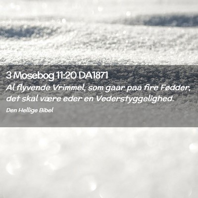 Picture 02 - 3 Mosebog 11:20 DA1871 - Al flyvende Vrimmel, som gaar paa fire Fødder, - Bible Verse Picture