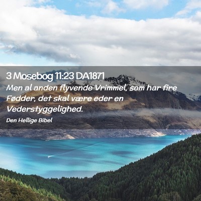 Picture 02 - 3 Mosebog 11:23 DA1871 - Men al anden flyvende Vrimmel, som har fire - Bible Verse Picture