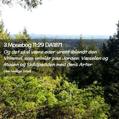 Picture 02 - 3 Mosebog 11:29 DA1871 - Og det skal være eder urent iblandt den Vrimmel, - Bible Verse Picture