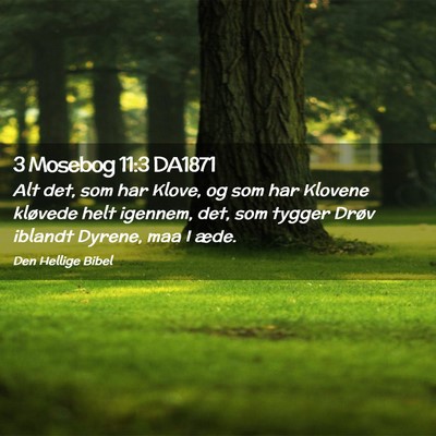 Picture 02 - 3 Mosebog 11:3 DA1871 - Alt det, som har Klove, og som har Klovene - Bible Verse Picture