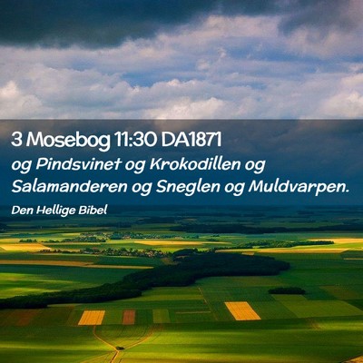 Picture 02 - 3 Mosebog 11:30 DA1871 - og Pindsvinet og Krokodillen og Salamanderen og - Bible Verse Picture