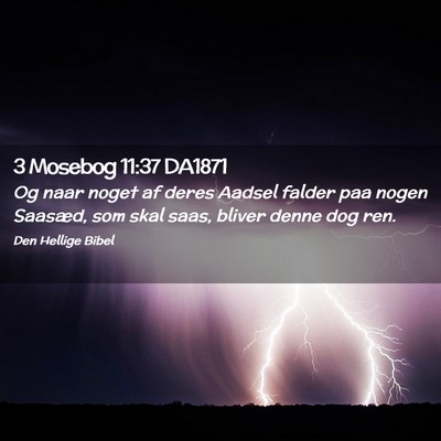 Picture 02 - 3 Mosebog 11:37 DA1871 - Og naar noget af deres Aadsel falder paa nogen - Bible Verse Picture