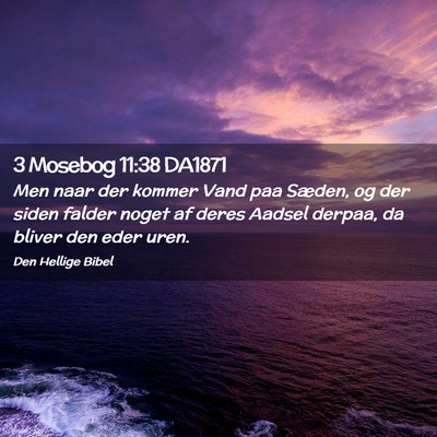 Picture 02 - 3 Mosebog 11:38 DA1871 - Men naar der kommer Vand paa Sæden, og der siden - Bible Verse Picture