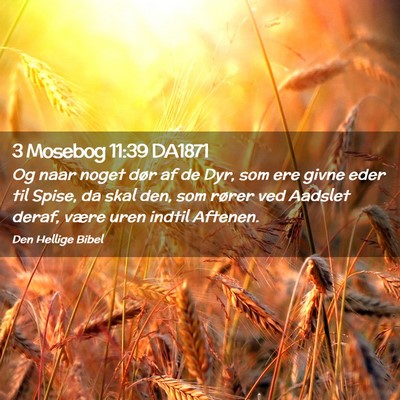 Picture 02 - 3 Mosebog 11:39 DA1871 - Og naar noget dør af de Dyr, som ere givne eder - Bible Verse Picture