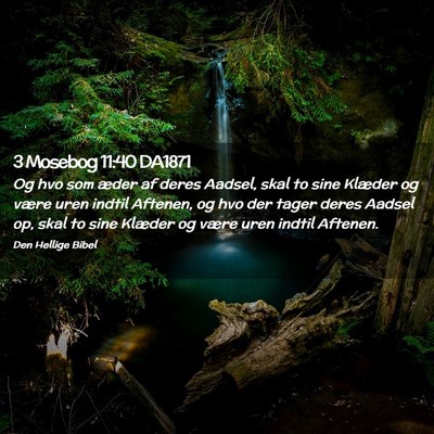 Picture 02 - 3 Mosebog 11:40 DA1871 - Og hvo som æder af deres Aadsel, skal to sine - Bible Verse Picture