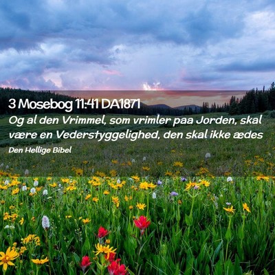 Picture 02 - 3 Mosebog 11:41 DA1871 - Og al den Vrimmel, som vrimler paa Jorden, skal - Bible Verse Picture