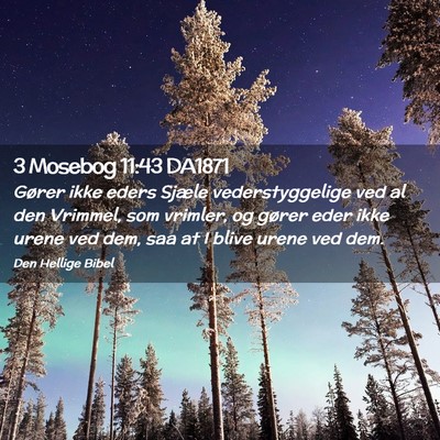Picture 02 - 3 Mosebog 11:43 DA1871 - Gører ikke eders Sjæle vederstyggelige ved al - Bible Verse Picture