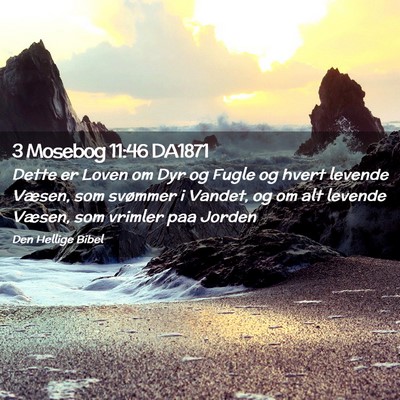 Picture 02 - 3 Mosebog 11:46 DA1871 - Dette er Loven om Dyr og Fugle og hvert levende - Bible Verse Picture