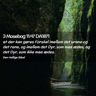 Picture 02 - 3 Mosebog 11:47 DA1871 - at der kan gøres Forskel imellem det urene og - Bible Verse Picture
