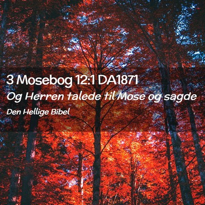 Picture 02 - 3 Mosebog 12:1 DA1871 - Og Herren talede til Mose og - Bible Verse Picture