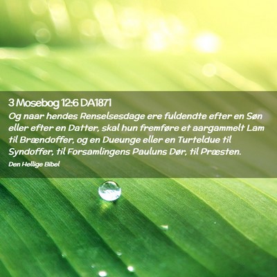 Picture 02 - 3 Mosebog 12:6 DA1871 - Og naar hendes Renselsesdage ere fuldendte efter - Bible Verse Picture