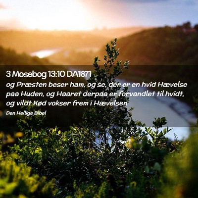 Picture 02 - 3 Mosebog 13:10 DA1871 - og Præsten beser ham, og se, der er en hvid - Bible Verse Picture