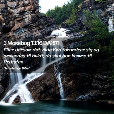 Picture 02 - 3 Mosebog 13:16 DA1871 - Eller dersom det vilde Kød forandrer sig og - Bible Verse Picture