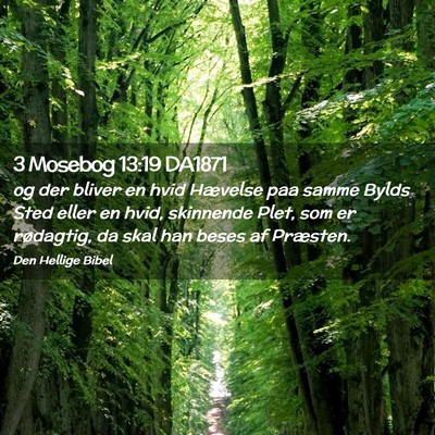 Picture 02 - 3 Mosebog 13:19 DA1871 - og der bliver en hvid Hævelse paa samme Bylds - Bible Verse Picture
