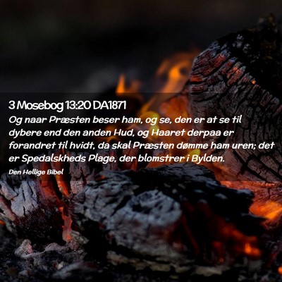 Picture 02 - 3 Mosebog 13:20 DA1871 - Og naar Præsten beser ham, og se, den er at se - Bible Verse Picture