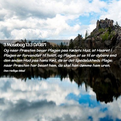 Picture 02 - 3 Mosebog 13:3 DA1871 - Og naar Præsten beser Plagen paa Kødets Hud, at - Bible Verse Picture