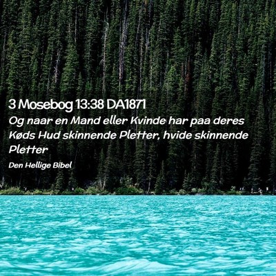 Picture 02 - 3 Mosebog 13:38 DA1871 - Og naar en Mand eller Kvinde har paa deres Køds - Bible Verse Picture