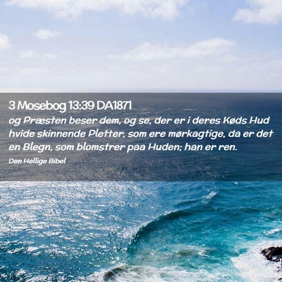Picture 02 - 3 Mosebog 13:39 DA1871 - og Præsten beser dem, og se, der er i deres - Bible Verse Picture