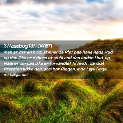 Picture 02 - 3 Mosebog 13:4 DA1871 - Men er der en hvid, skinnende Plet paa hans Køds - Bible Verse Picture