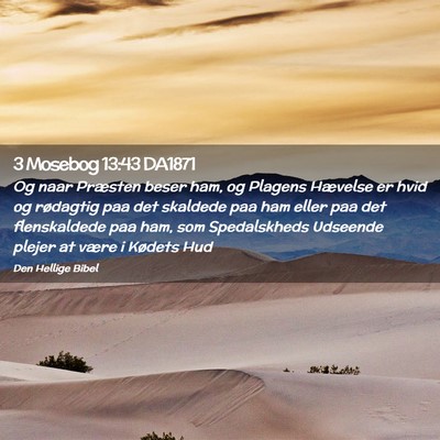 Picture 02 - 3 Mosebog 13:43 DA1871 - Og naar Præsten beser ham, og Plagens Hævelse - Bible Verse Picture