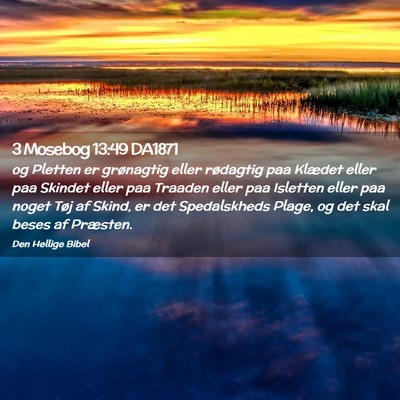 Picture 02 - 3 Mosebog 13:49 DA1871 - og Pletten er grønagtig eller rødagtig paa - Bible Verse Picture