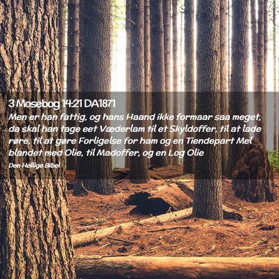 Picture 02 - 3 Mosebog 14:21 DA1871 - Men er han fattig, og hans Haand ikke formaar saa - Bible Verse Picture
