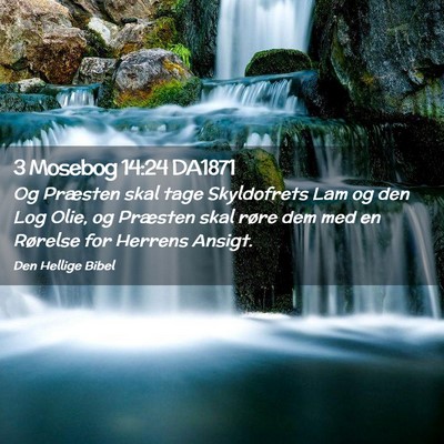 Picture 02 - 3 Mosebog 14:24 DA1871 - Og Præsten skal tage Skyldofrets Lam og den Log - Bible Verse Picture